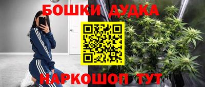 Альфа ПВП Канаш