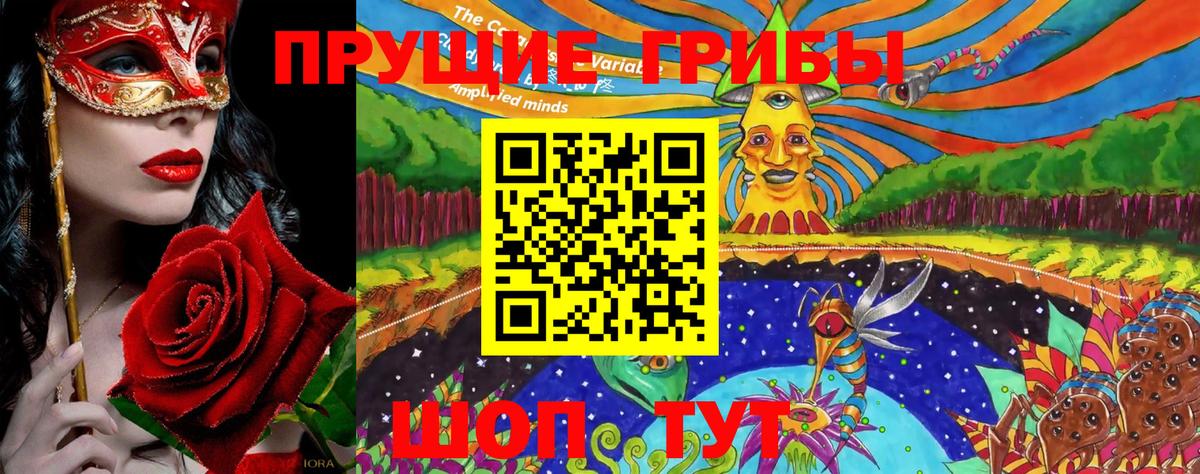 Псилоцибиновые грибы Psilocybine cubensis  Вход с VPN  Мирный 