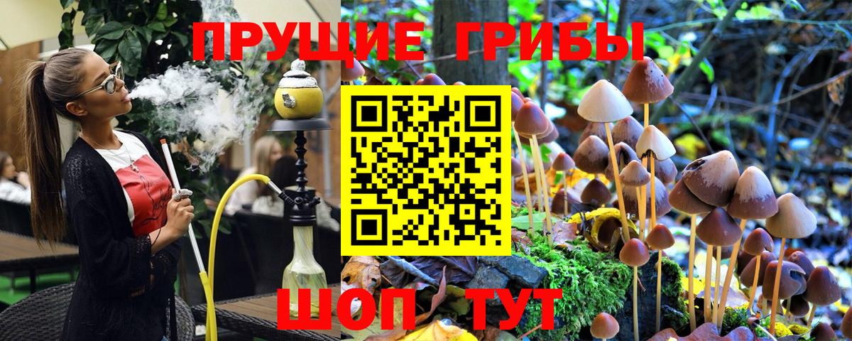 Псилоцибиновые грибы Magic Shrooms Мирный